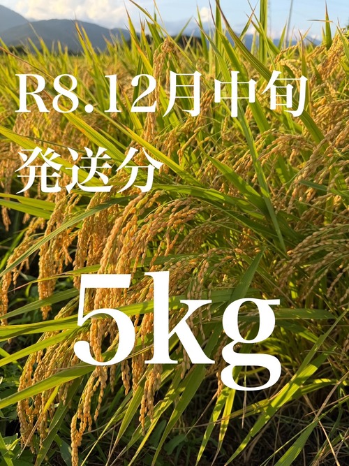 【予約販売R8.12月中旬発送】令和8年佐渡産コシヒカリ　5㎏ 画像