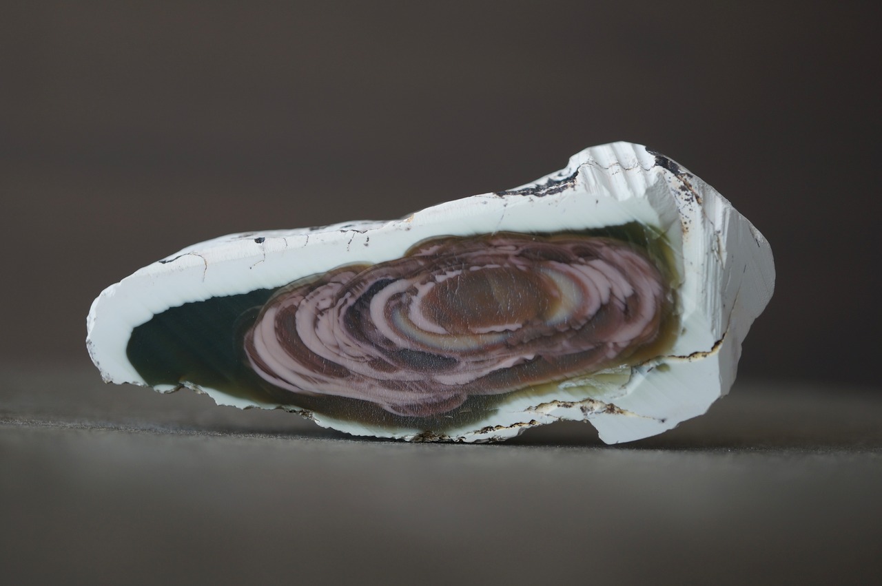 ロイヤルインペリアルジャスパー Royal Imperial Jasper 2372