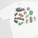 Vintage  Insects  Printed T Shirt Made In USA