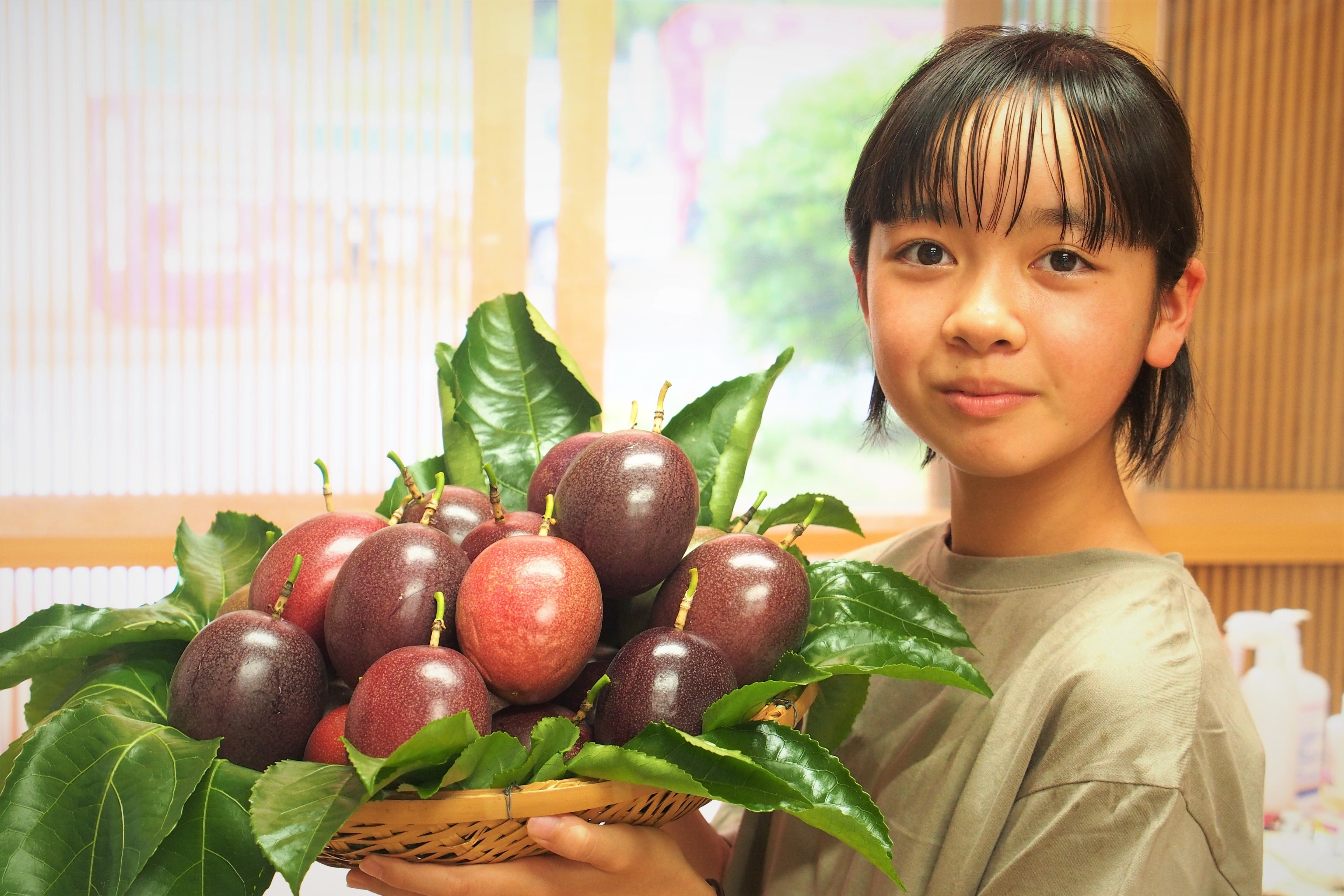 【ヒーこさん専用訳ありパッションフルーツ5kg】 ヒーこさん専用訳ありパッションフルーツ5kg】 出荷：6月下旬頃