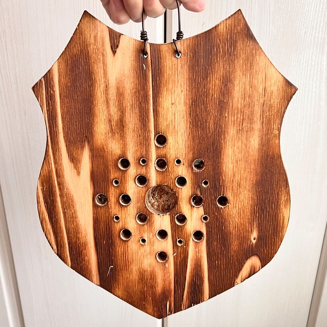 ビカクシダ マダガスカリエンセ 板付 【観葉植物 室内 コウモリラン】