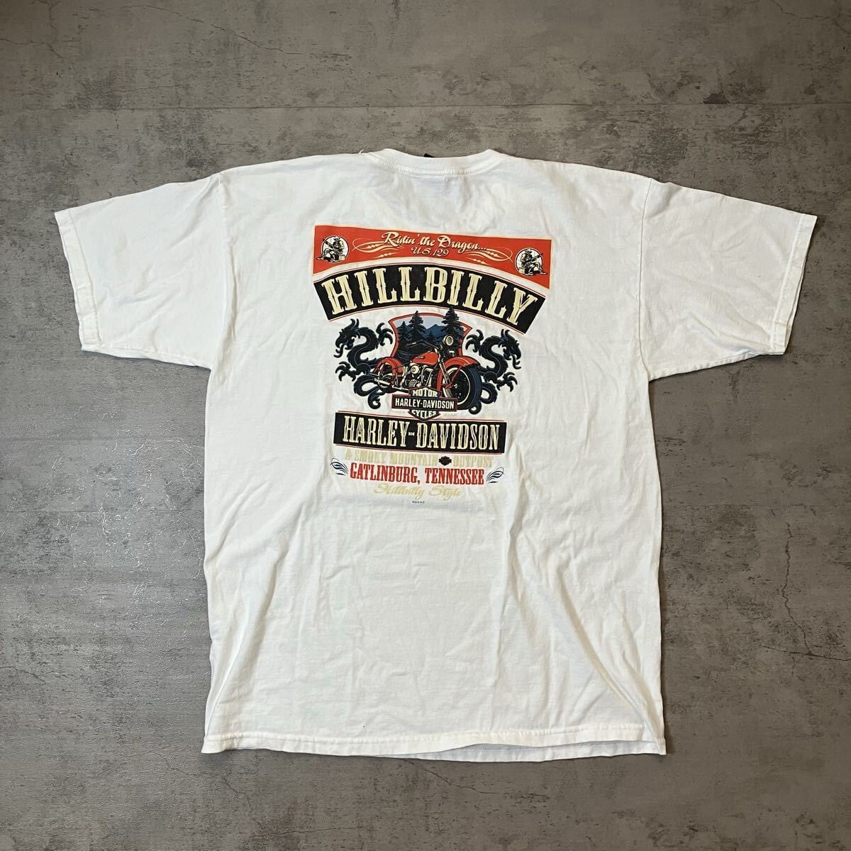 00s USA製 Harley-Davidson ヘンリーネック HOLOUBEK M ハーレー