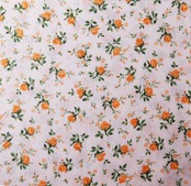 ヴィンテージ　フィードサック　[fsa631］