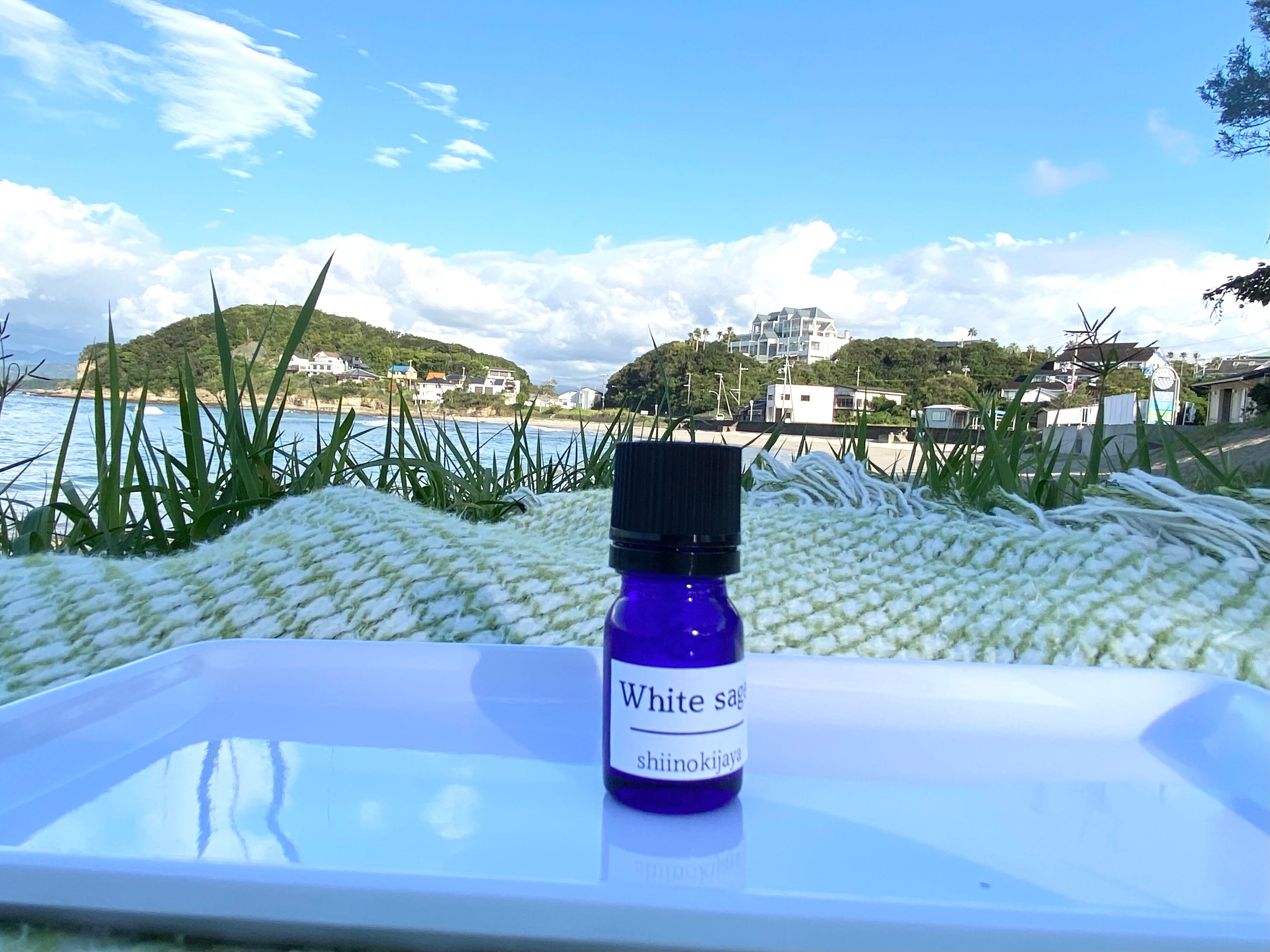 タイム 5ml小分け ヤングリビング社 | shiinokijaya