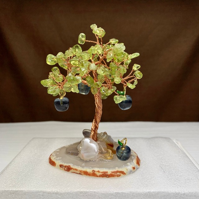 りんごがなる招財樹・ペリドット