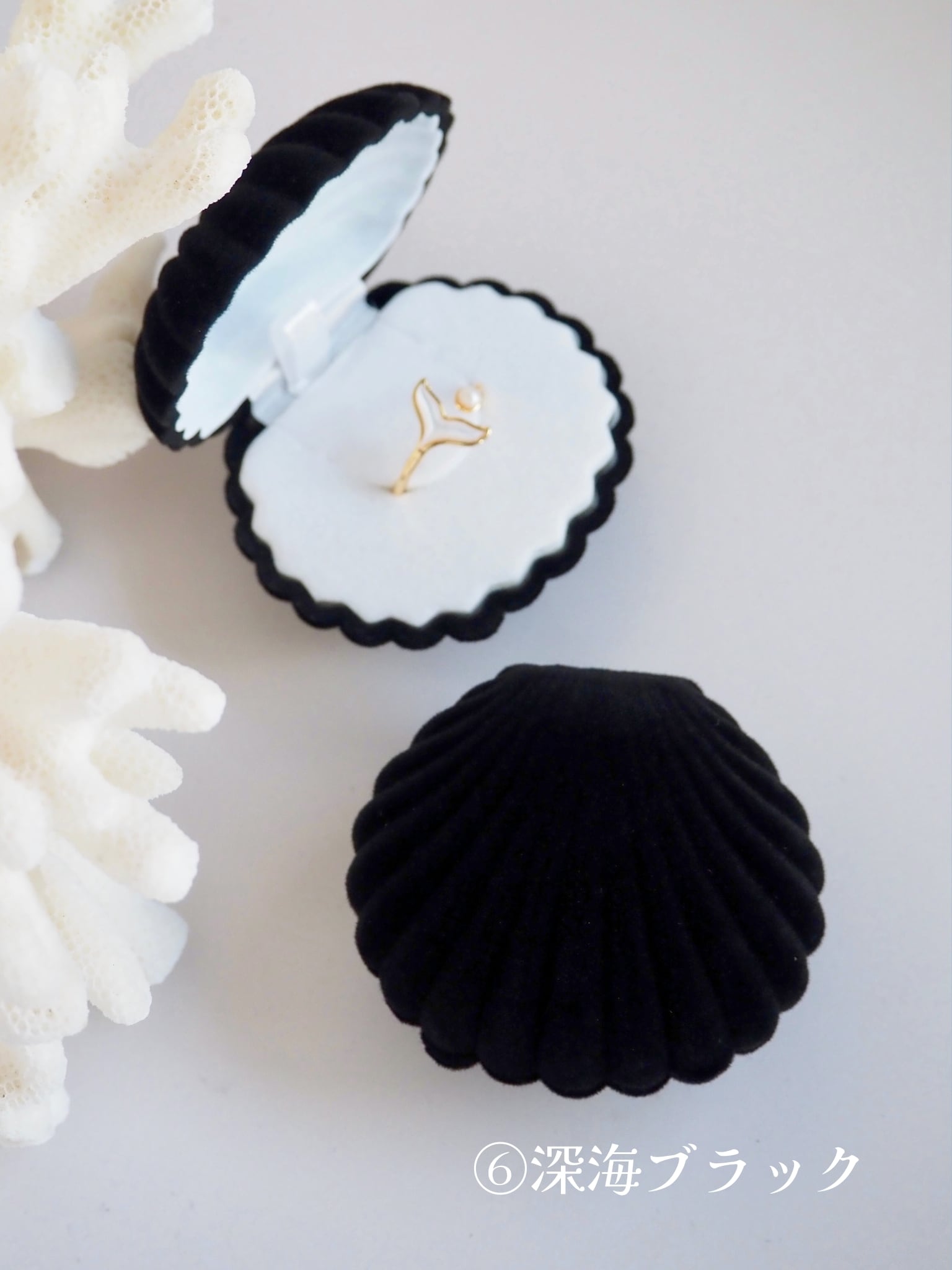 ぱかっ！貝殻のアクセサリーケース | 貝殻と人魚｜貝殻アクセサリー