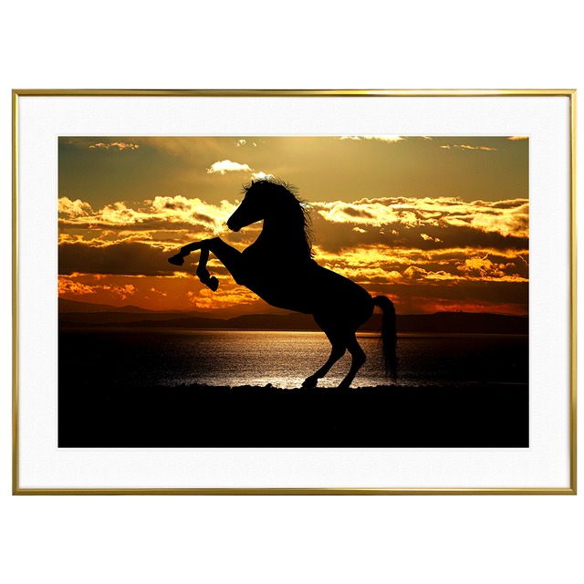 夕日写真 前足を高く上げる馬 インテリアアートポスター額装 AS1670