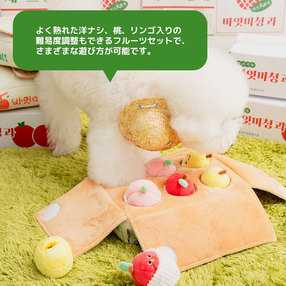 総合フルーツセット ノーズワークトイ | BITEME