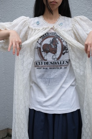 championship t-shirt