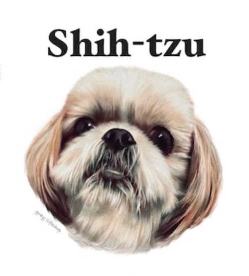 gray original Dog face &breed printed S/S TEE［ShihTzu(face)］