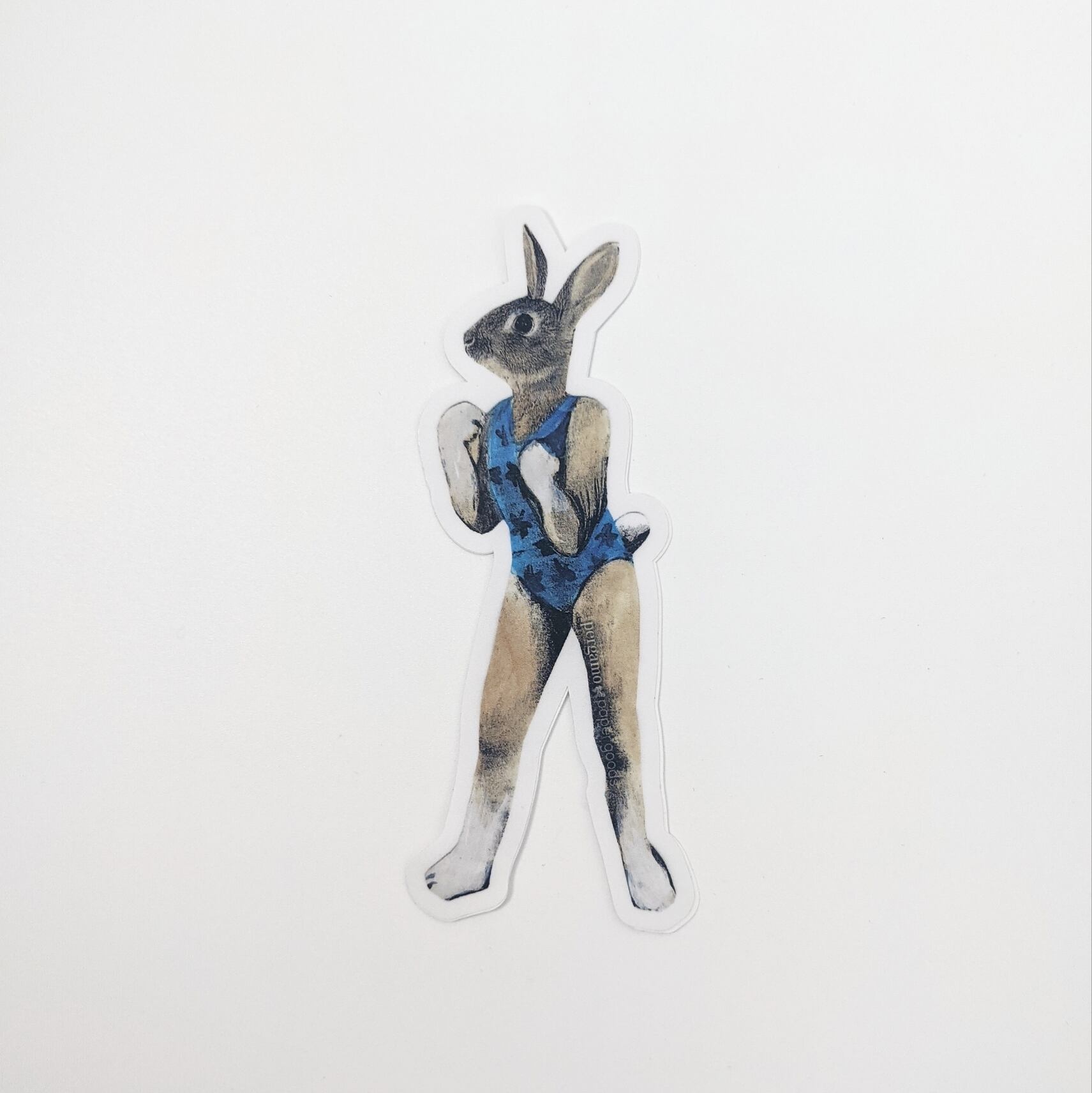 【PergamoPaperGoods】Fitness Rabbit sticker