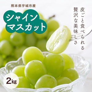 熊本県宇城市産 シャインマスカット 2kg