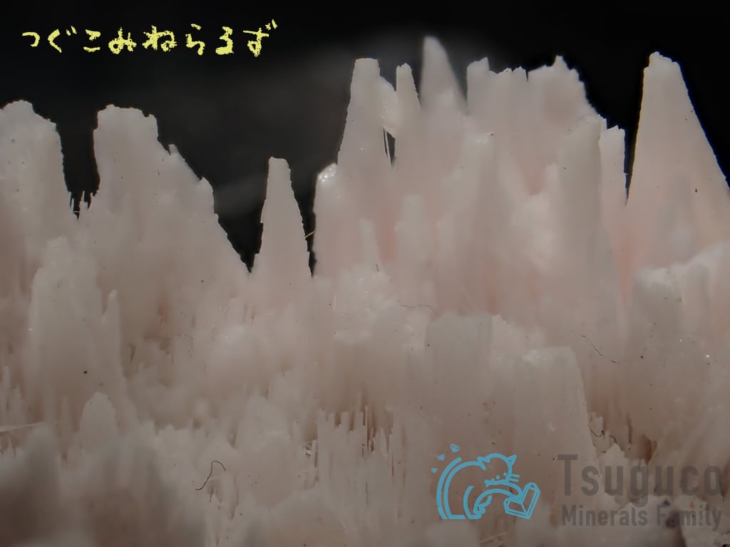クトナホライト クトナホラ石 Kutnohorite 南アフリカ TM-0022