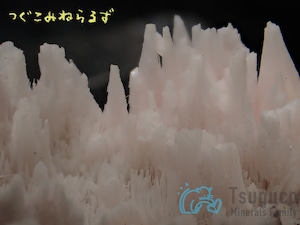 クトナホライト クトナホラ石 Kutnohorite 南アフリカ TM-0022