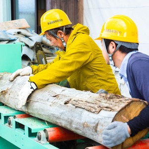 ［15kg］スギの薪（35cm：中割り）針葉樹　※含水率20％以下