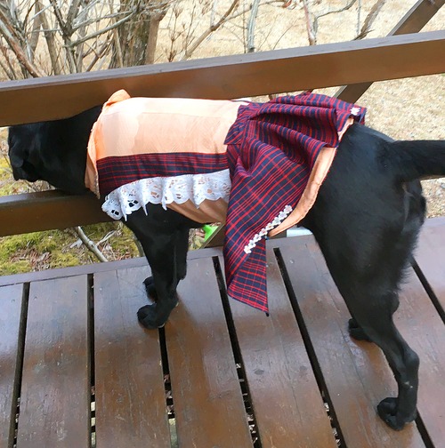 わんこ服 大型犬用 LL "白いフリフリレースと赤黒チェックの紬スカート”E-3