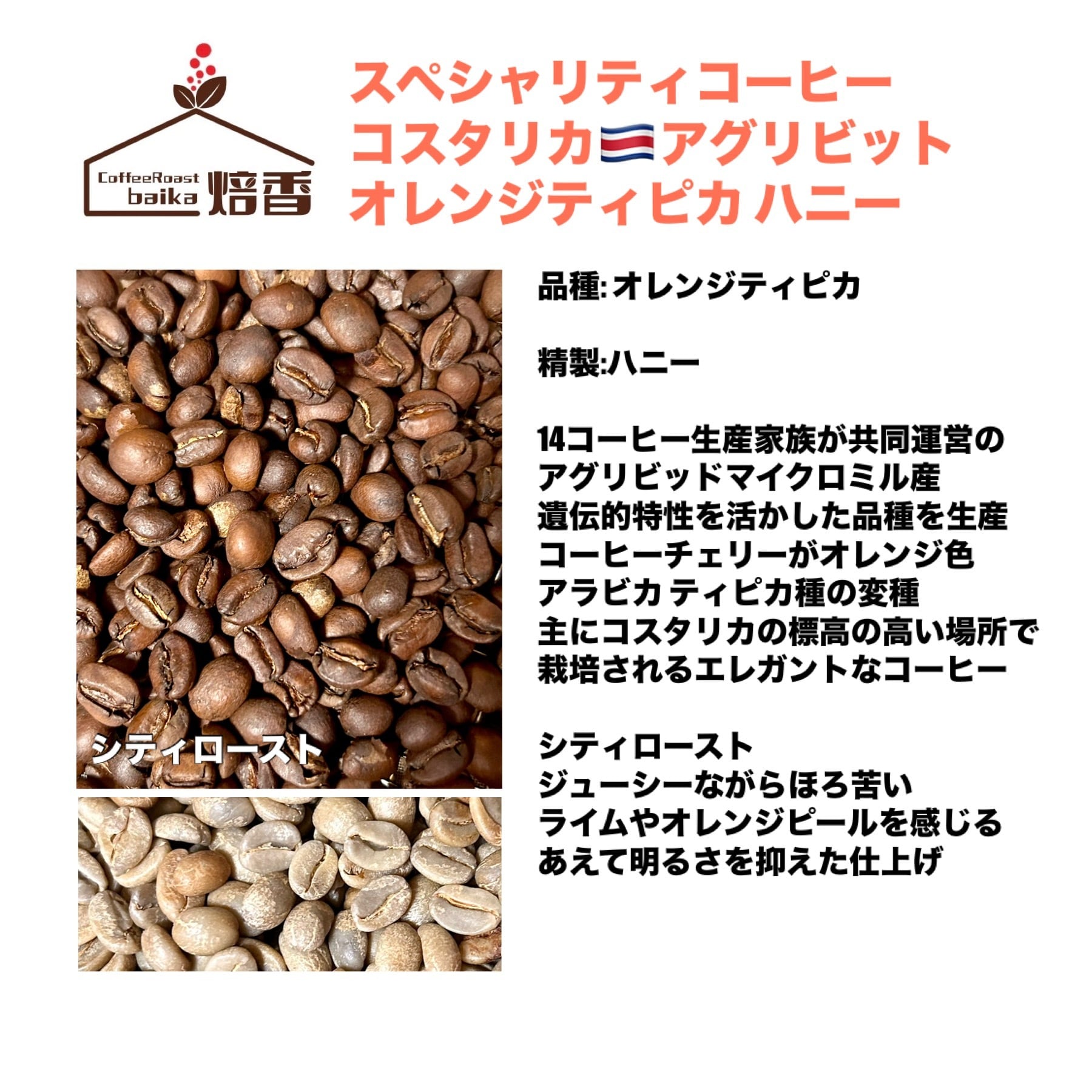 定番スペシャリティ 200g】コスタリカ オレンジティピカ ハニー