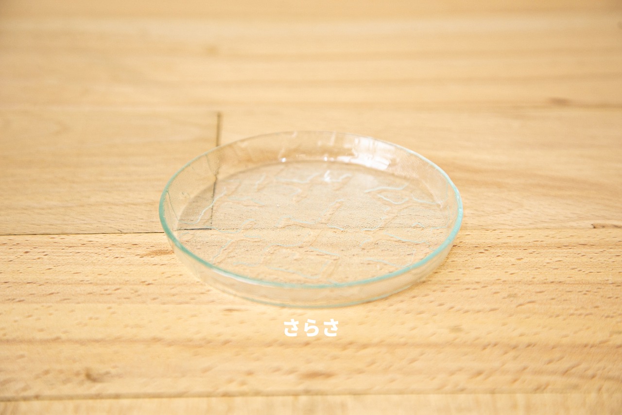 池谷三奈美 | シャーレ