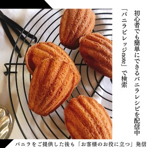 セット タヒチ種 + ブルボン種 40本 最上位 バニラビーンズ VANILLA VILLAGE