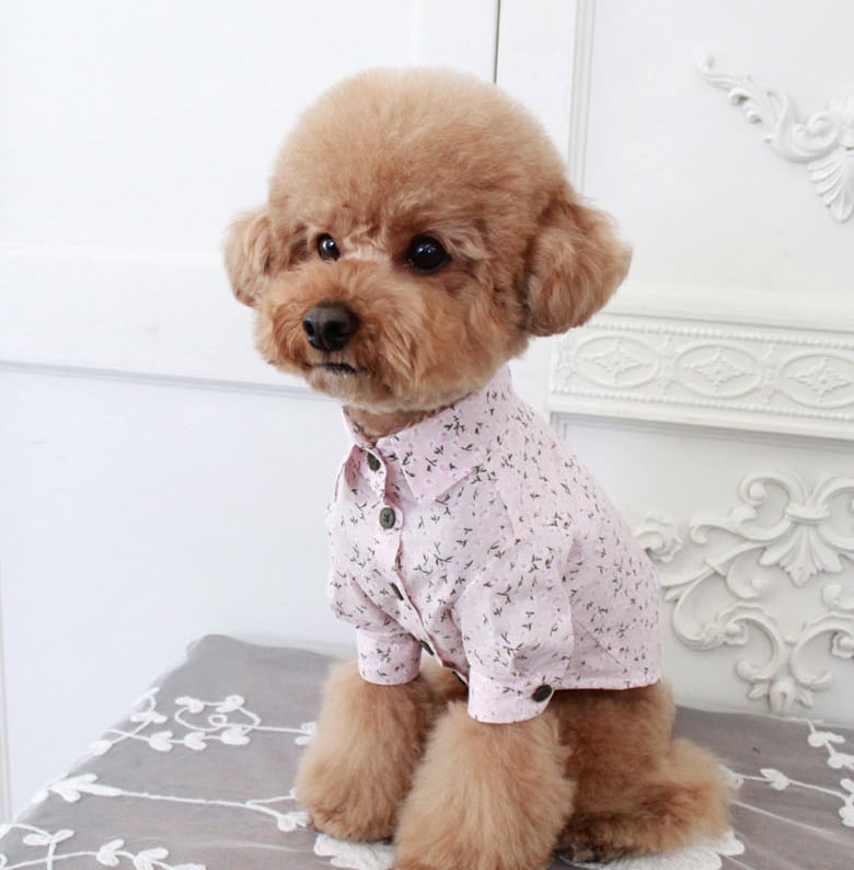 flowerシャツ S ~ 2XL 3color  /  犬服 新作 春夏 ドッグウェア ペット洋服 犬 服 お揃い 可愛い お出かけ