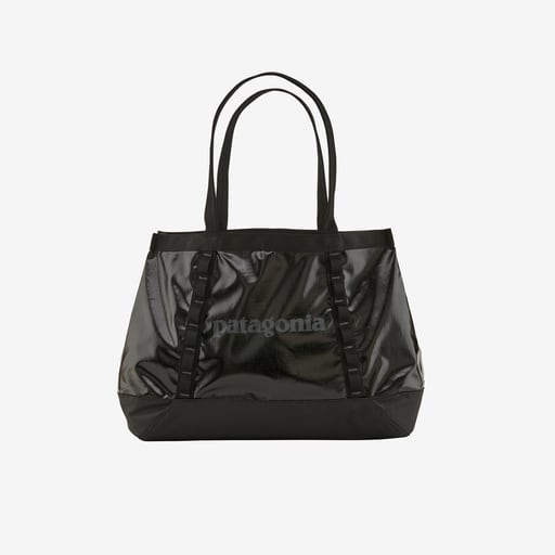 パタゴニア ブラックホール・トート 25L 日本正規品 (カラー パタゴニア ブラックホール・トート 25L 日本正規品 (カラー