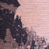 「穏やかな日々」