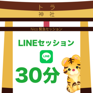 【対話セッション】LINEセッション30分プラン