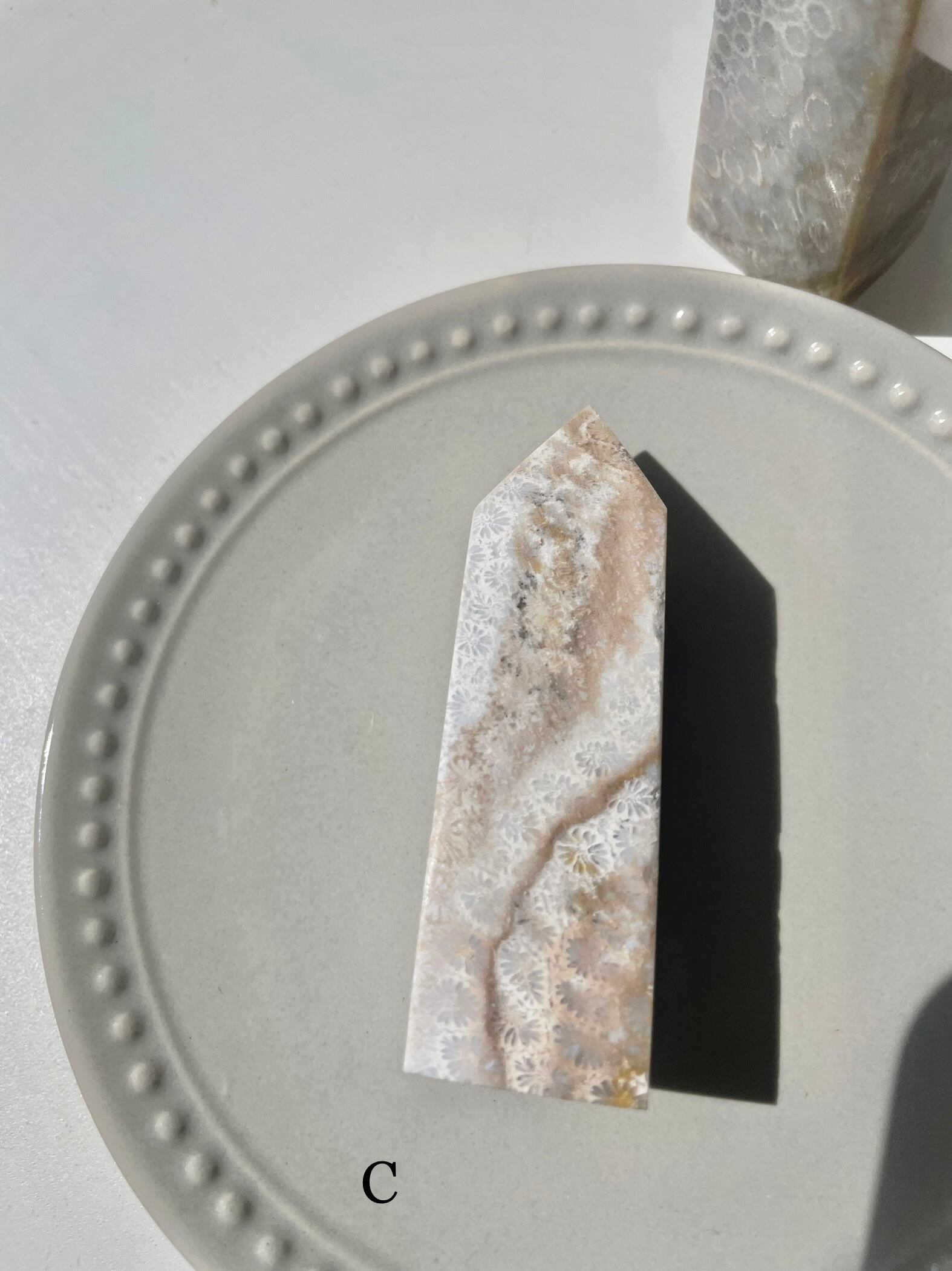 Fossil Coral Tower / フォッシルコーラル　タワー