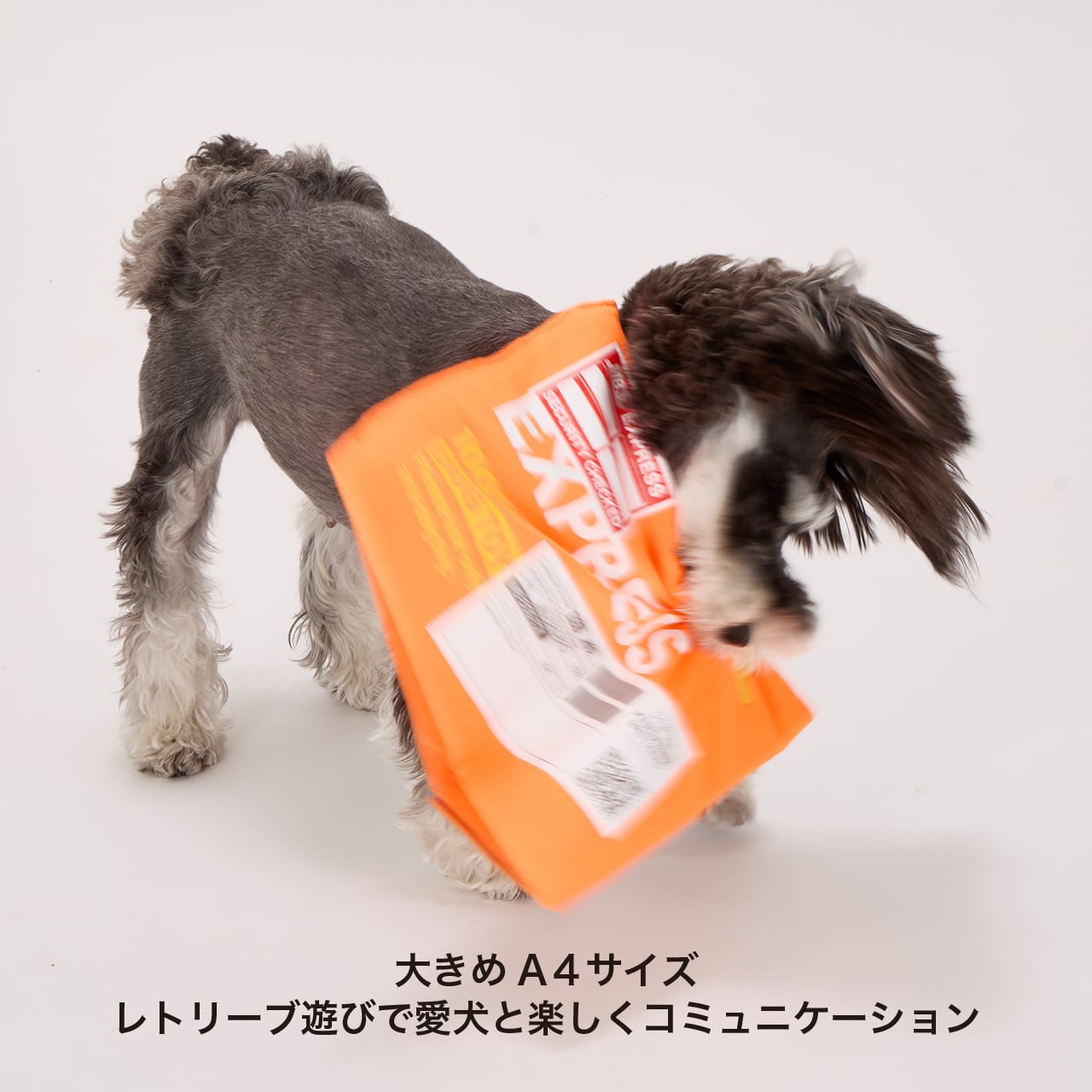 FLYING EXPRESS TOY フライングエキスプレストイ | MANDARINE BROTHERS
