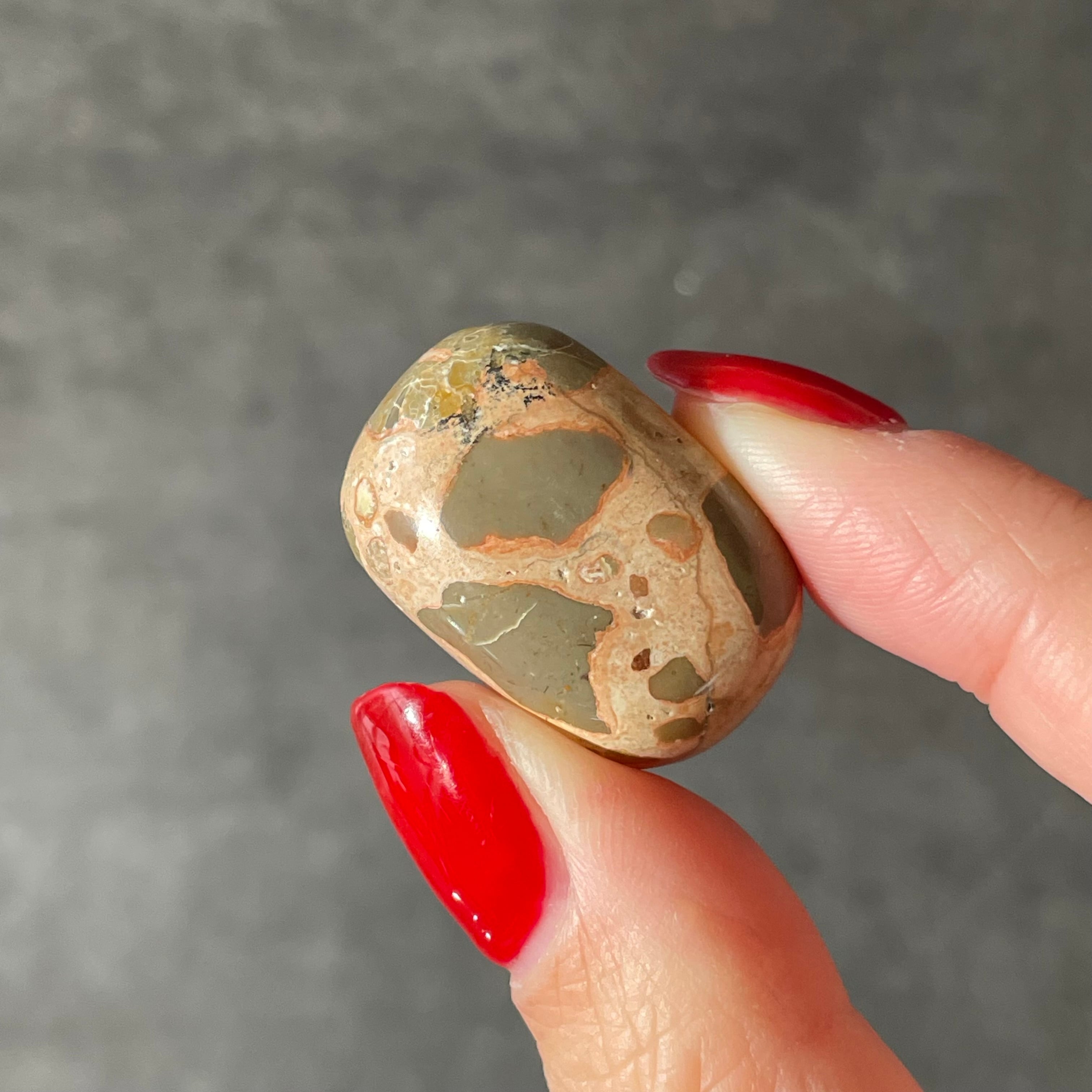 Puddingstone プディングストーン|Tumble タンブル|天然石 パワーストーン 鉱物 gem stone