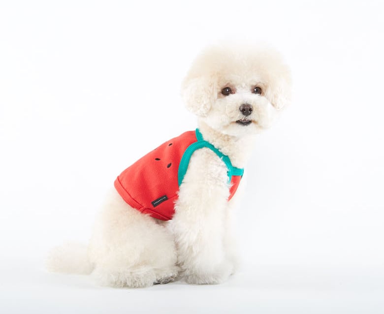 フルーツクロップドトップス S ~ 2XL / 犬の服 犬服 ペット洋服 ドッグウェア ペット用品 小型犬 中型犬