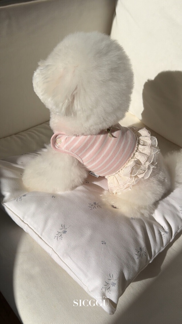 〈即納アイテム〉SICGGU ベビーピンク ワンピース