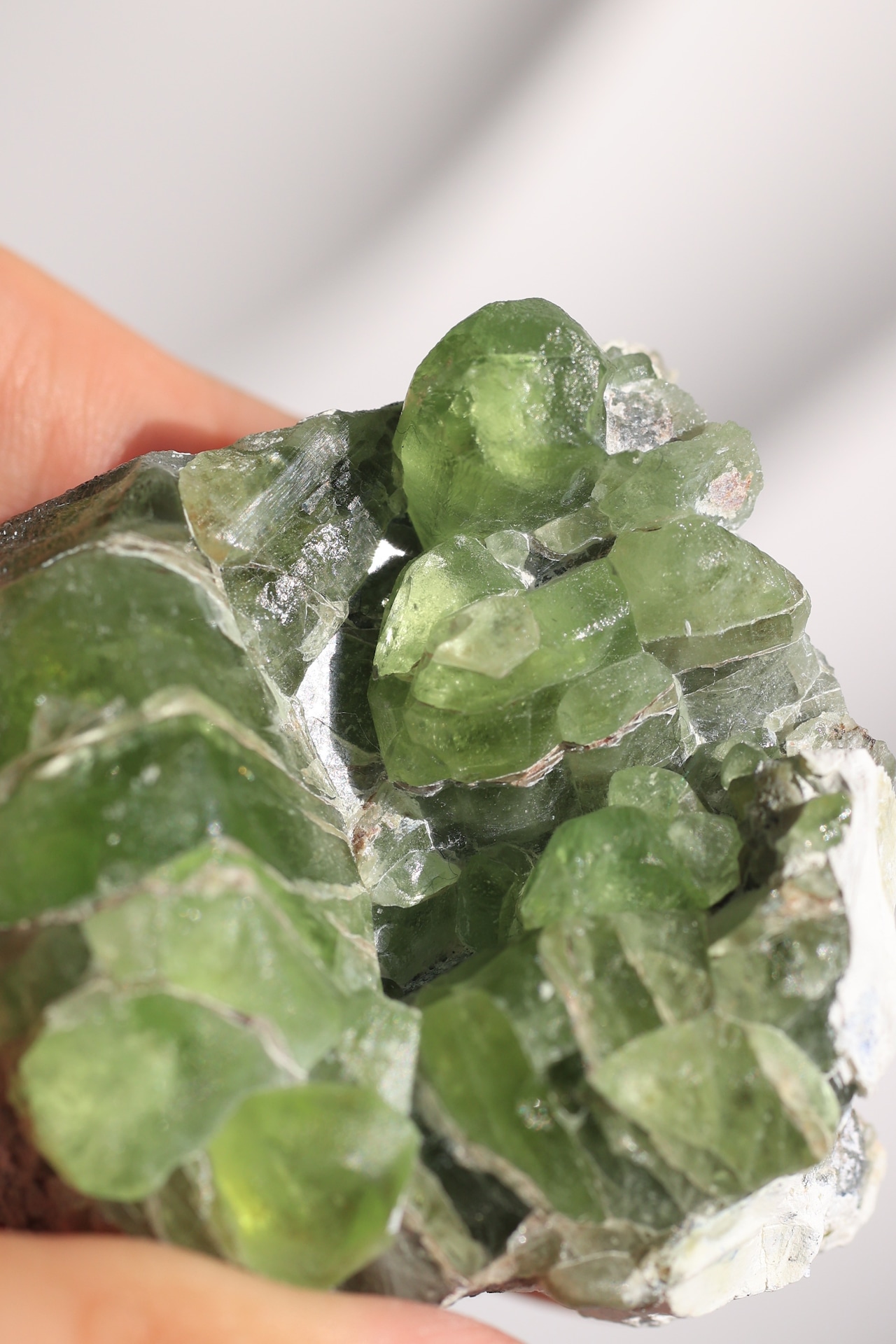 ペリドット「若葉の光」Peridot|天然石 原石 鉱物 パワーストーン | PD-H-001