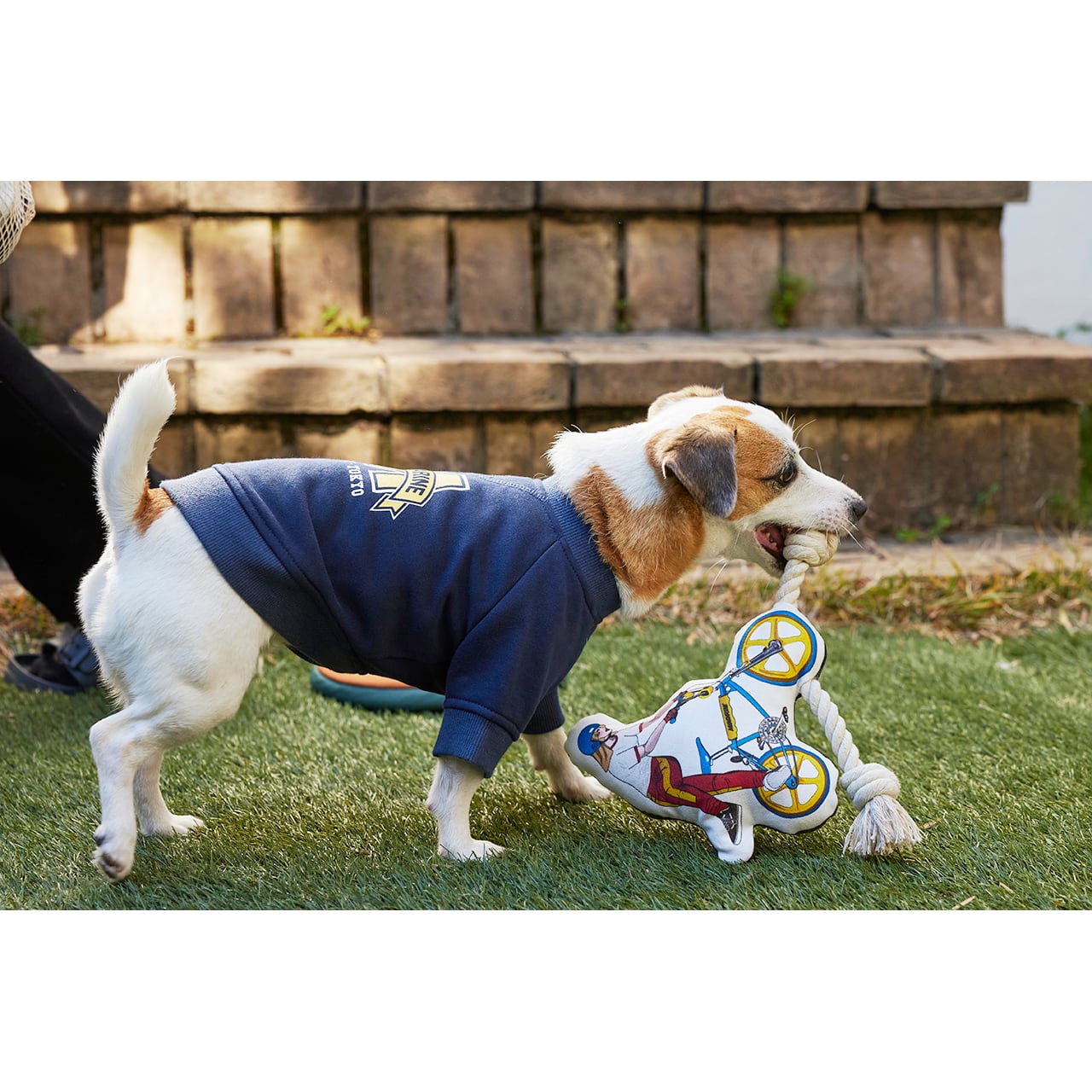 SUPER CRAZY ROPE TOY スーパークレイジーロープトイ SUPER CRAZY ROPE TOY スーパークレイジーロープトイ