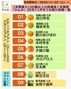 【21品種】#かんみスペシャル【3ヶ月ごとのサブスク】