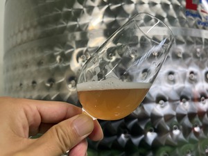 ハーフサイズ375ml：2025新酒「アルモニ秋田 ヌーボー」