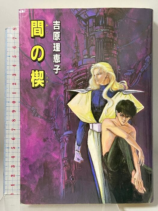 中古】液晶ディスプレイの技術革新史 : 行為連鎖システムとしての技術