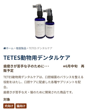 デンタルケア【TETES】