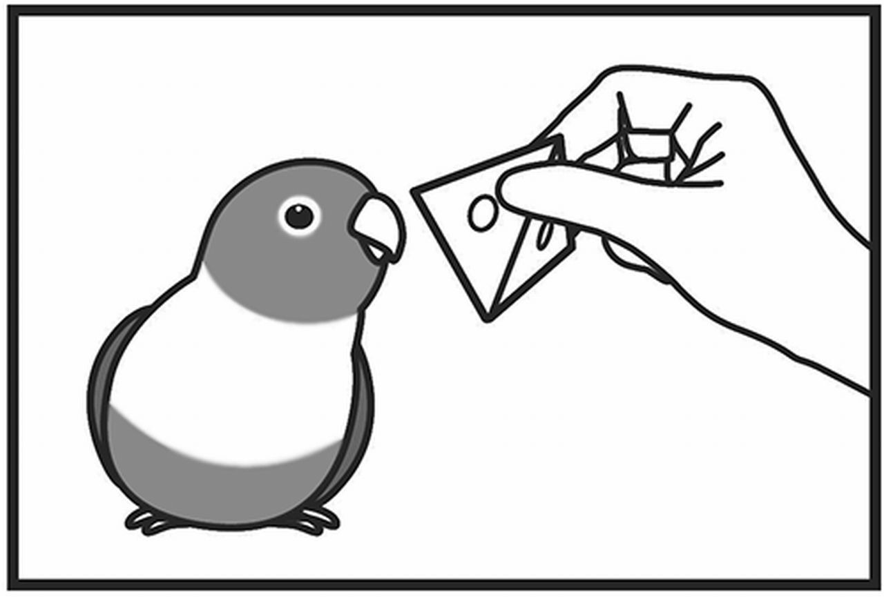 【三晃商会】　フォージング入門 　ペーパーボックス