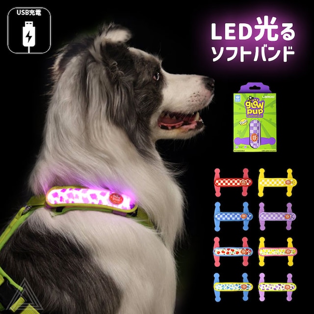 【無料簡易ラッピング対象】犬用 LED ライト 光 ソフトバンド 軽量 USB充電  明るい やわらかい 夜間散歩 首輪取り付け ハーネス取り付け リード取り付け 小型犬 中型犬 大型犬 点灯 点滅 ペット用 ドッグラン 夜 安全 事故防止 安全グッズ LR9961
