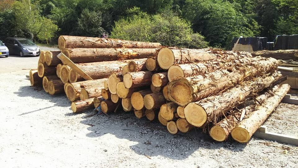 森の積み木」500個入り | morimo