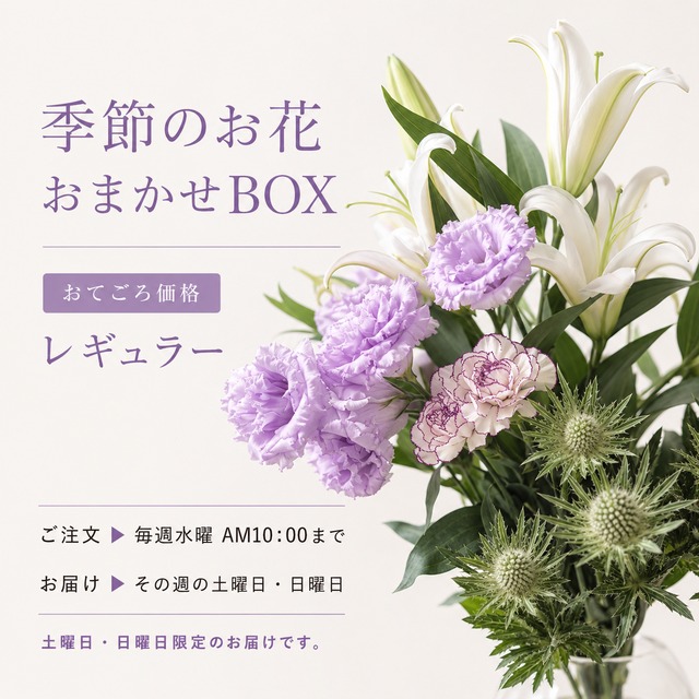 季節のお花 おまかせBOX《レギュラー》｜月替わりの切り花・生花セット〈フラワーロス削減〉