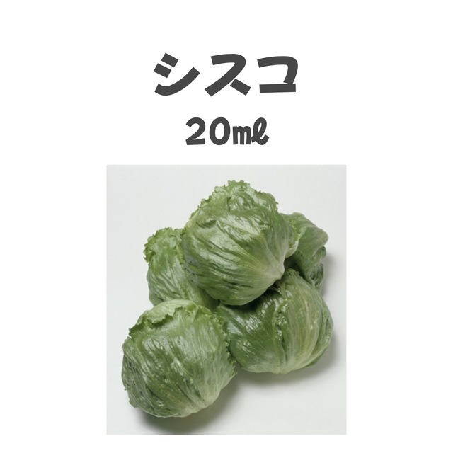 シスコ　レタス種子・20ml