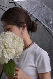 紫陽花　【送料無料】
