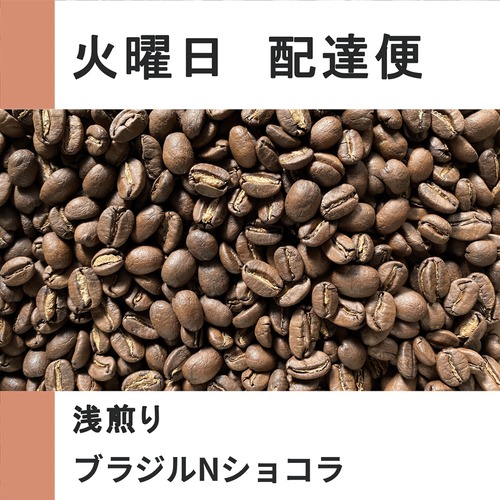 ブラジルNショコラ（浅煎り）【100g/火曜配達便】