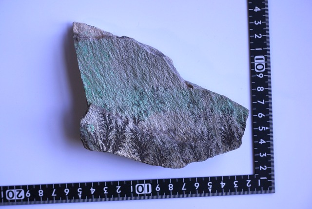 コンゴ産デンドライト・クリソコラ　Dendrite / Chrysocolla ②