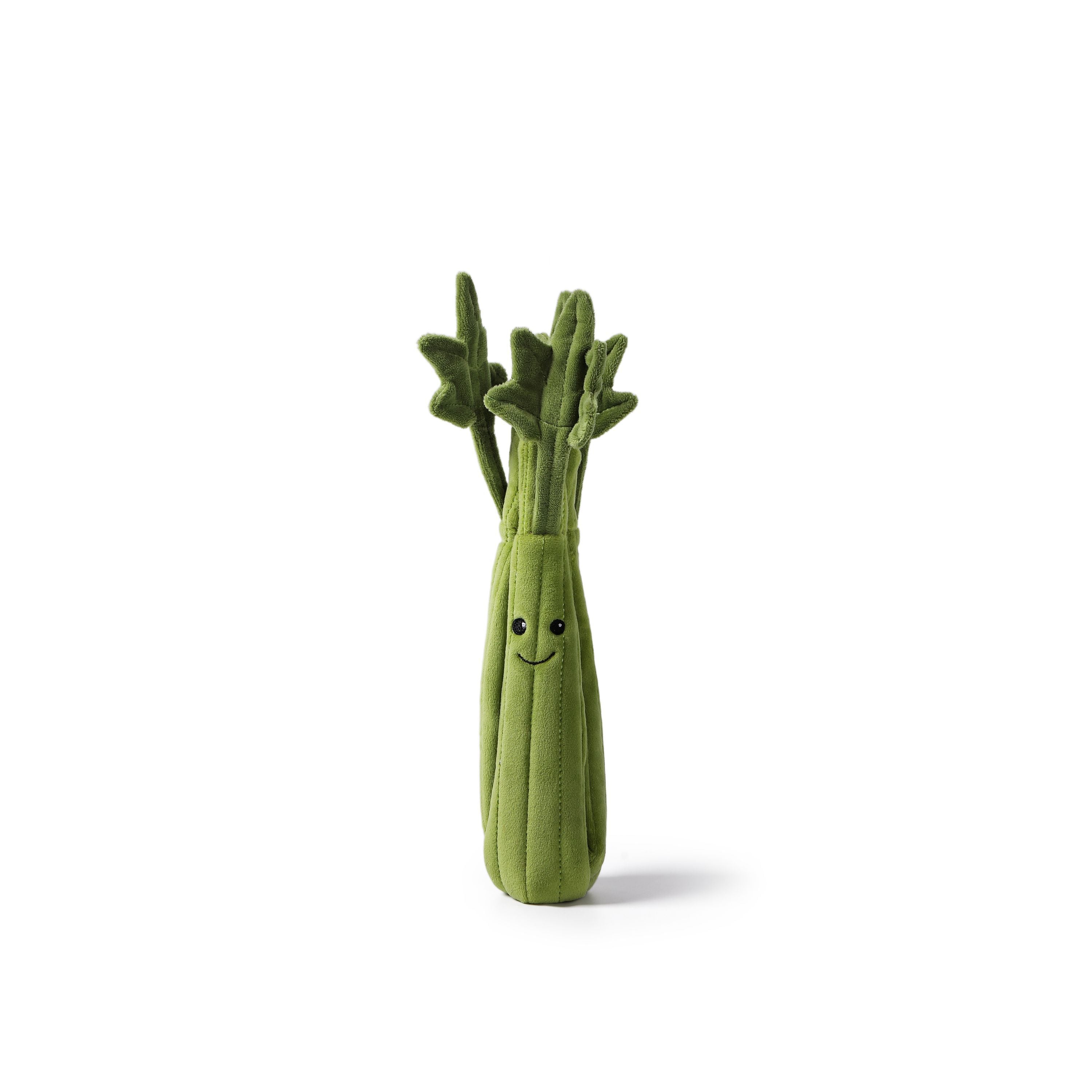 Slim Celery_MC400177