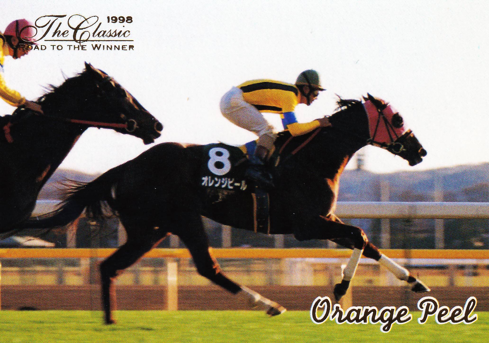 その他 1998 The Classic ROAD TO THE WINNER ワシントンカラー(金文字)「The Classic 1998 Road To The