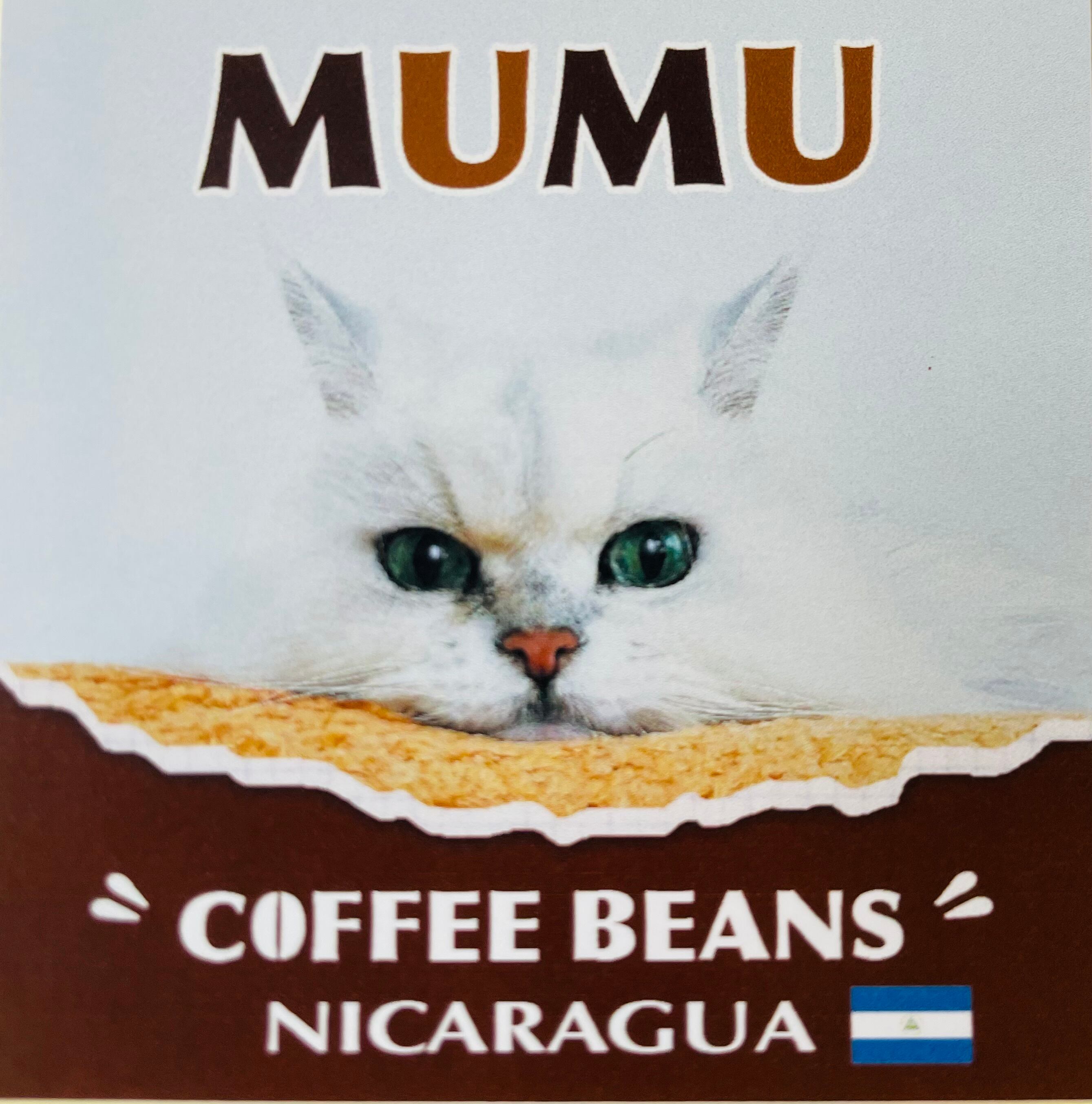 コスタリカ ラ カンデリージャ ハニー 100g | MUMU COFFEE BEANS 自家