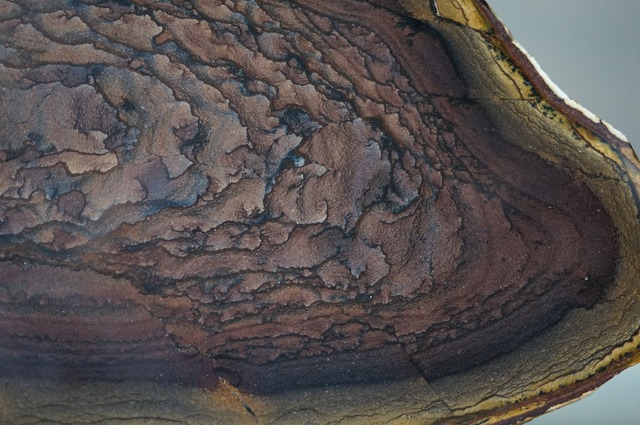 デシューツジャスパー　Deschutes jasper